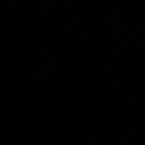 Meet your Posher, Liz